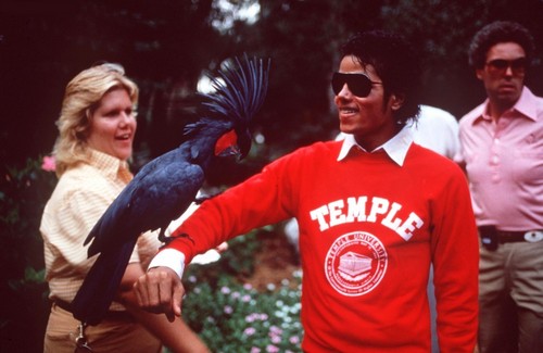  October 1984: Michael Jackson and Emanuel Lewis at Дисней World