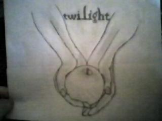  THe cover of twilight