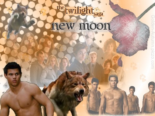  Twilight Saga New Moon
