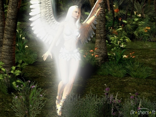  Angel Of The Forest