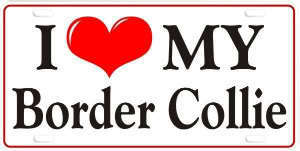  Border colley, collie Logo