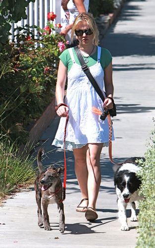  Anna walking her chó