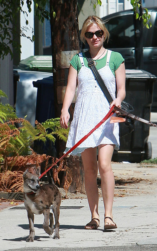 Anna walking her dogs