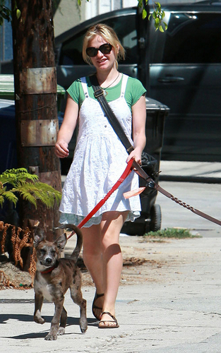  Anna walking her dogs
