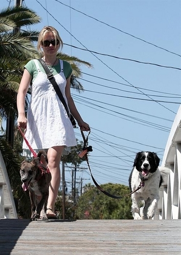  Anna walking her Anjing