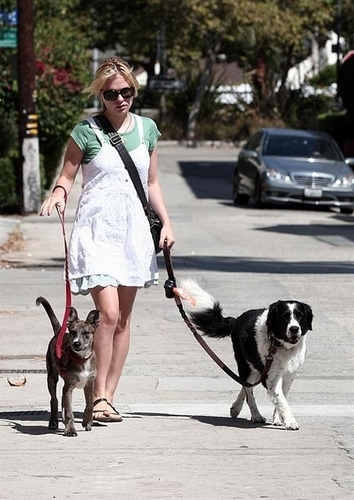  Anna walking her chó
