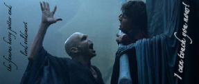  Harry Potter and Lord Voldemort