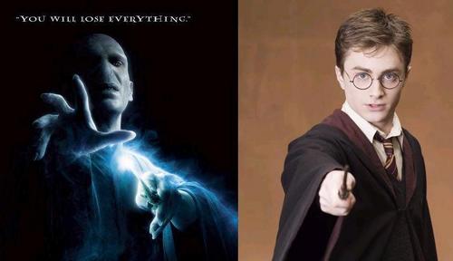  Harry and Voldemort