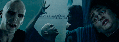  Harry and Voldemort
