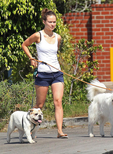  Olivia, Walking Her Собаки