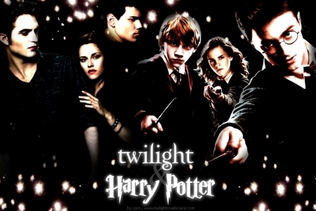  Twilight VS Harry Potter