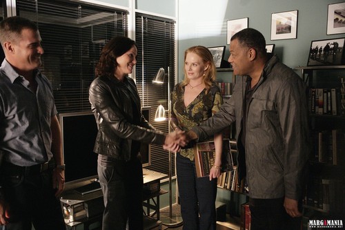  CSI: Las Vegas - Episode 10.01 - Family Affair - Promotional चित्रो - HQ