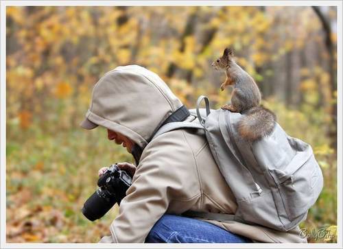  Cute Squirrels