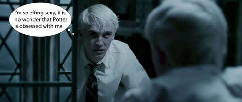  Draco's thought!!!