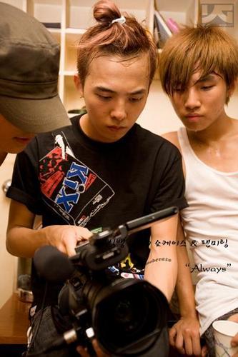 GD and D-Lite