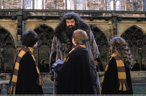  Hagrid and the Trio