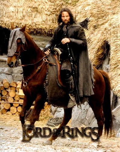  King Aragorn