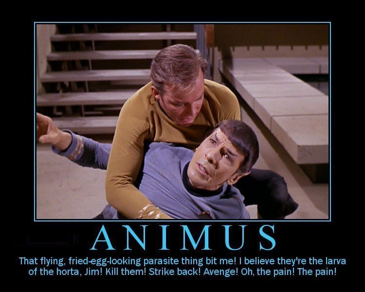 Kirk&Spock - Inspirational Posters