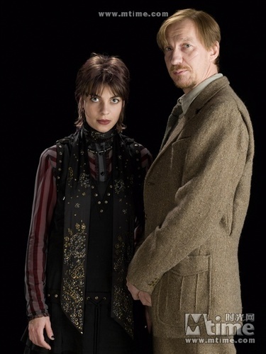  Lupin and Tonks in HBP