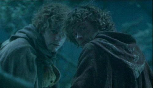  Pippin and Merry