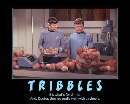  Spock&Bones - Inspirational Posters