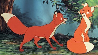  The rubah, fox and The Hound