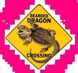  Beardie Crossing