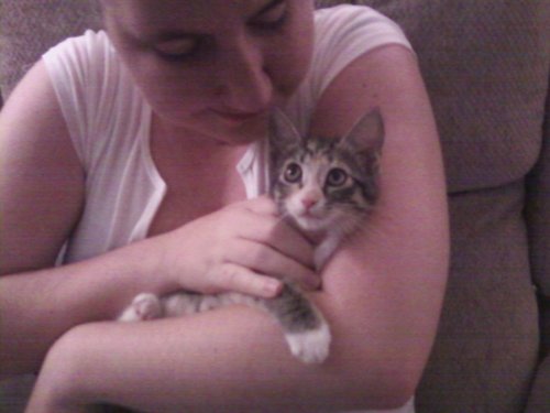 Becca's Kitten
