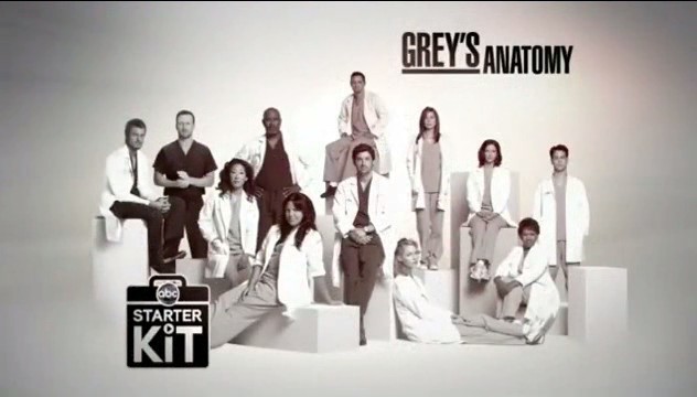 Grey's Anatomy 6ª Temporada – HDTV Dublado Torrent Download (2010)