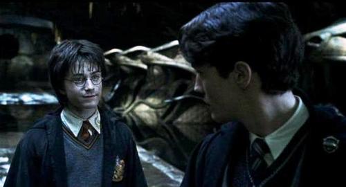  Harry Potter and Tom RIddle