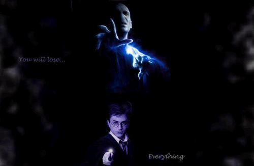  Harry Potter and Voldemort