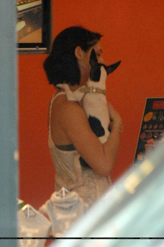  plus Ashley with dog in Vacouver