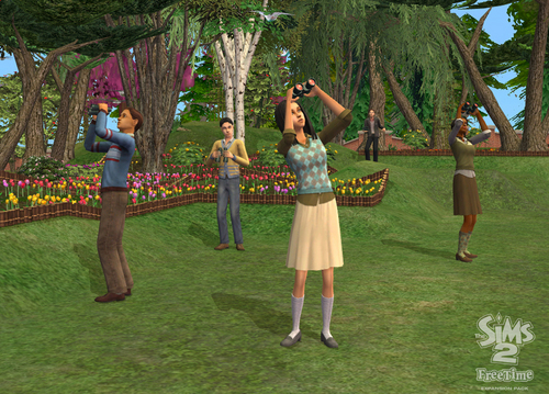  The sims 2 freetime