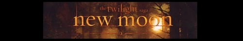  Twilight Banners