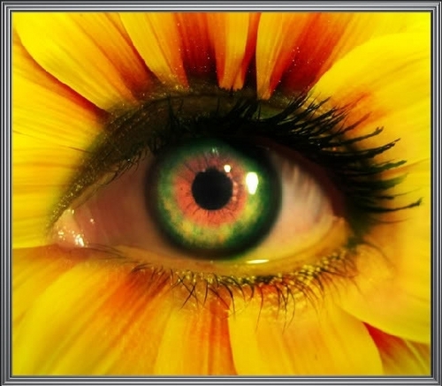  꽃 eyes