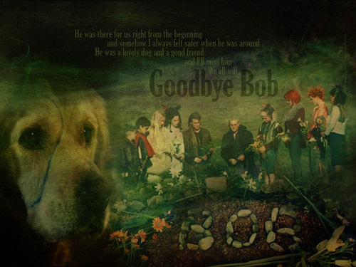 Goodbye Bob