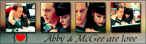  McGee and Abby
