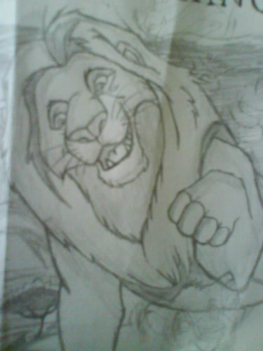  My drawing of Mufasa
