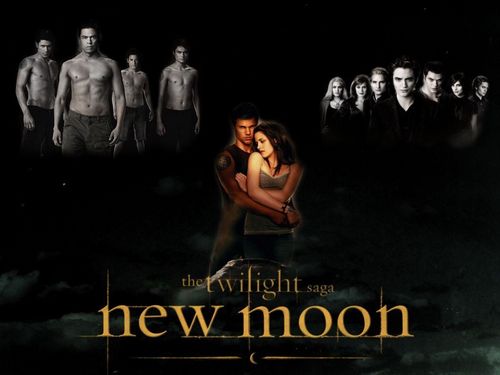  Twilight saga