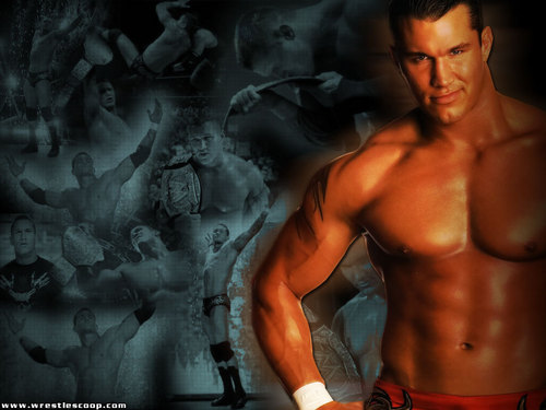 WWE wallpaper