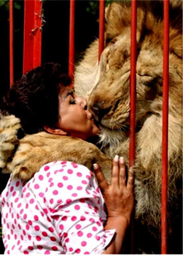  lion चुंबन woman in zoo-scary & hilarious