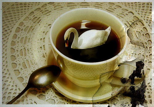 swan in coffee cup