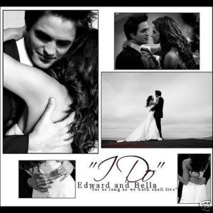  Edward & Bella's Wedding Day!