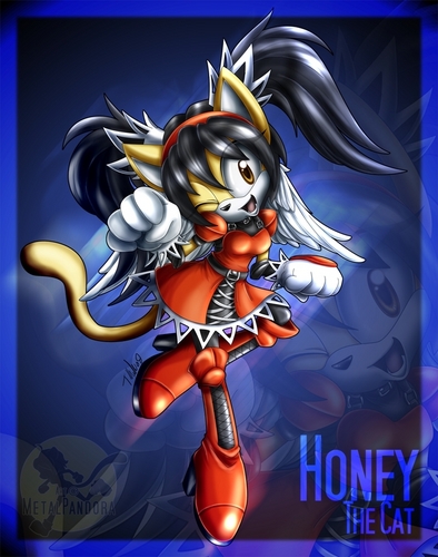 Honey the Cat