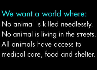  Stop Animal Cruelty!!!