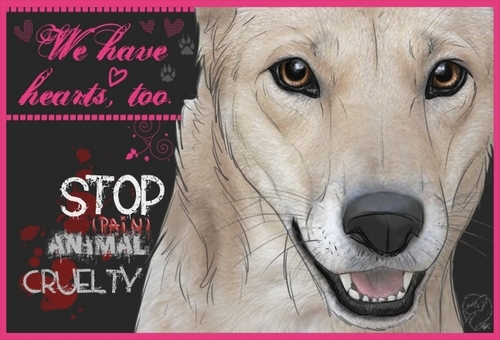  Stop Animal Cruelty!!!