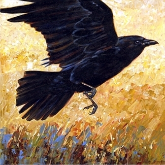 crows :O