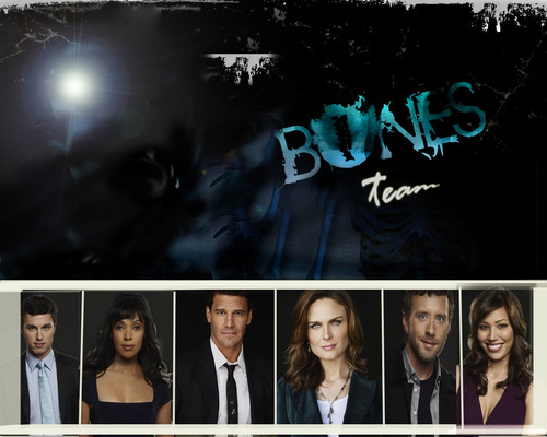  Bones season 5