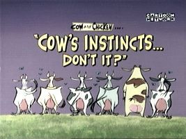  Cow's Instincts...Don't it?