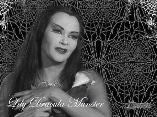  Lily Dracula Munster